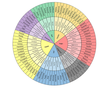 A wheel of the different types of moods we experience